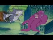 فليبر ولوباكا