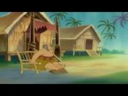 فليبر ولوباكا