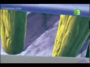 عالم الفوضى الجزء 2