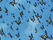 اسرار المحيط