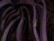 الوميض الأزرق