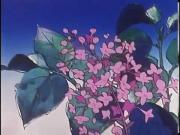 زينة ونحول الجزء 1