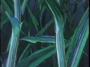 زينة ونحول الجزء 1