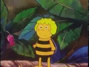 زينة ونحول الجزء 1