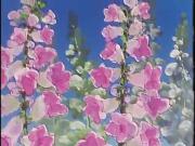 زينة ونحول الجزء 1