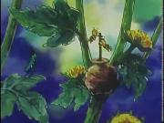 زينة ونحول الجزء 1