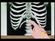 ينبوع الأحلام