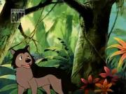 ماوكلي فتى الأدغال