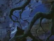 ماوكلي فتى الأدغال