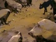 ماوكلي فتى الأدغال