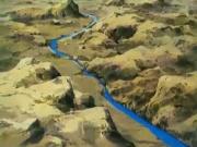 ماوكلي فتى الأدغال