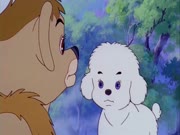 سمبا الجزء 1