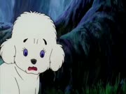 سمبا الجزء 1