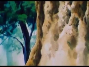 سندريلا