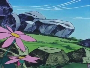 مغامرات جامبا