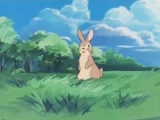 فادي بائع الحليب