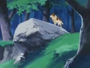 فادي بائع الحليب