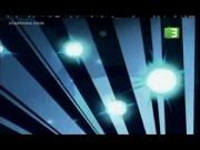 عائلة دافنسابلز