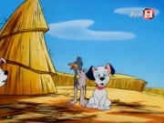 مئة مرقش ومرقش