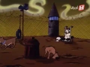 مئة مرقش ومرقش