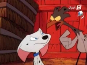 مئة مرقش ومرقش