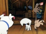 مئة مرقش ومرقش