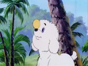 سمبا الجزء 2