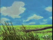 شما في البراري الخضراء