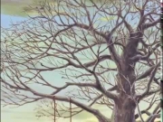 شما في البراري الخضراء