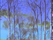 شما في البراري الخضراء