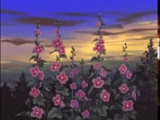 شما في البراري الخضراء