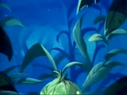 مغامرات بشار