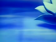 مغامرات بشار