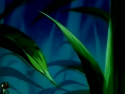 مغامرات بشار