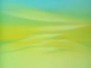 مغامرات بشار