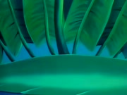 مغامرات بشار