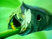 مغامرات بشار