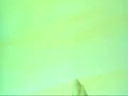 مغامرات بشار