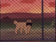 مغامرات بن بن