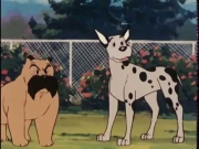 مغامرات بن بن