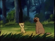 مغامرات بن بن