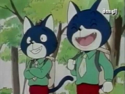 جزيرة الشطار