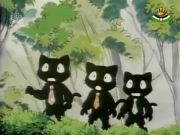 جزيرة الشطار