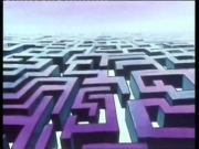 روكي راكات