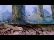 حكيم الأقزام