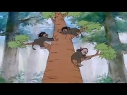 حكيم الأقزام