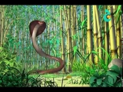 كتاب الأدغال