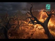 كتاب الأدغال