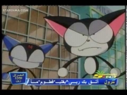 كورو القط الأسود