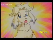 كورو القط الأسود